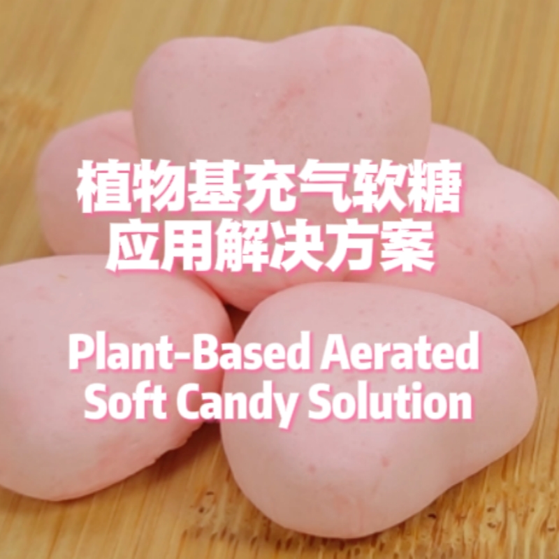 Plant-Based Aerated Soft Candy Solution